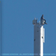 Illustration for article titled Why Is Tom Cruise Sitting On Top of the Worlds Tallest Building?